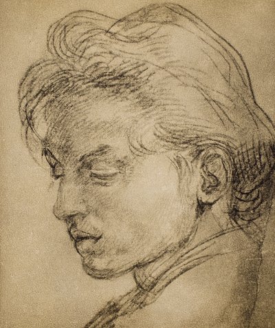 Cabeza viril de perfil de Andrea del Sarto