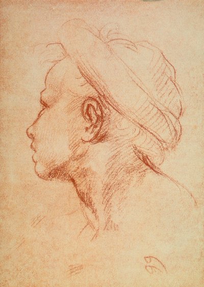 Cabeza de joven de perfil de Andrea del Sarto