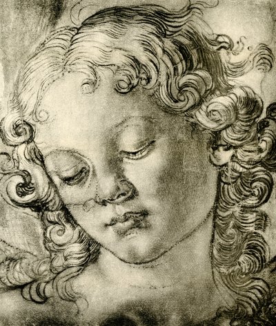 Cabeza de ángel de Andrea del Verrocchio