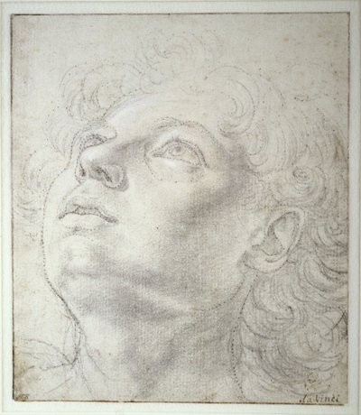 Cabeza de ángel de Andrea del Verrocchio