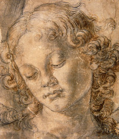 Cabeza de ángel de Andrea del Verrocchio
