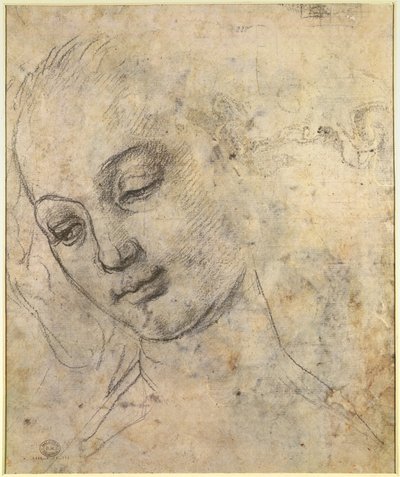 Retrato de una Cabeza Femenina de Andrea del Verrocchio