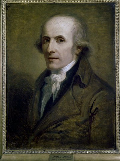 Retrato del escultor Antonio Canova de Andrea the Elder Appiani