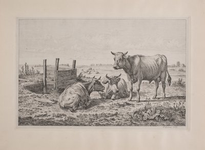 Danés: Un toro y dos vacas de Andreas Peter Madsen