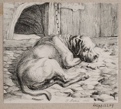 Un perro encadenado durmiendo de Andreas Peter Madsen