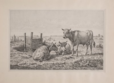 Un toro y dos vacas de Andreas Peter Madsen