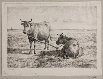 Dos vacas unidas de Andreas Peter Madsen