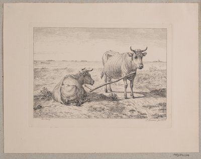 Dos vacas unidas de Andreas Peter Madsen