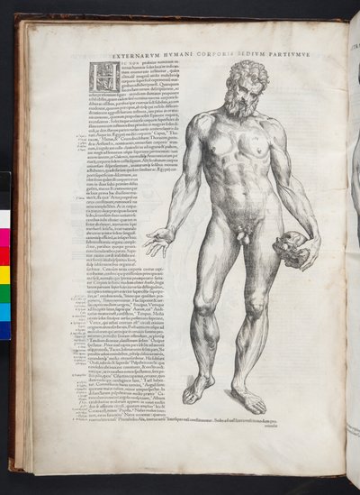 Hércules, ilustración de 
