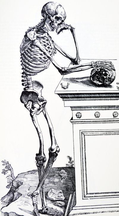 Esqueleto humano con calavera en la mano. De 