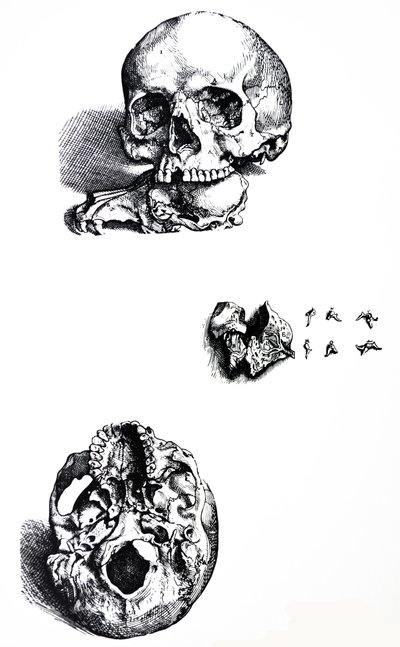 Las láminas del primer libro de De Humani Corporis Fabrica de Andreas Vesalius