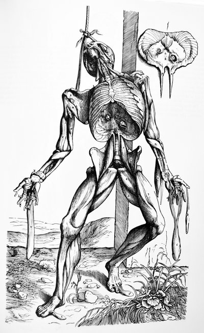 Las placas del segundo libro de De Humani Corporis Fabrica de Andreas Vesalius