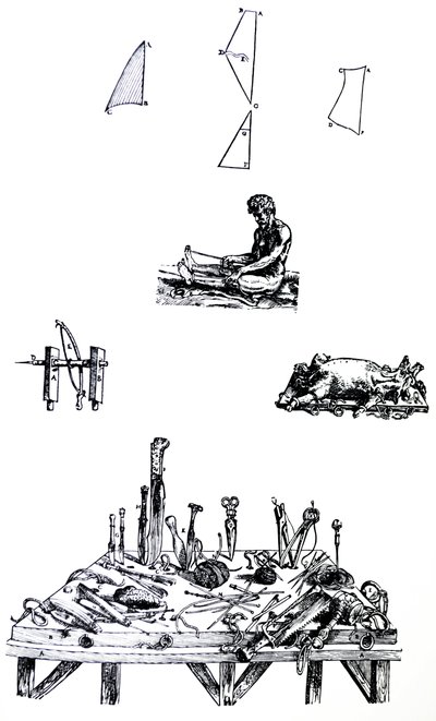Las placas del segundo libro de De Humani Corporis Fabrica de Andreas Vesalius