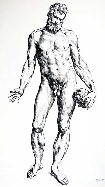 Las Placas del Séptimo Libro de De Humani Corporis Fabrica de Andreas Vesalius