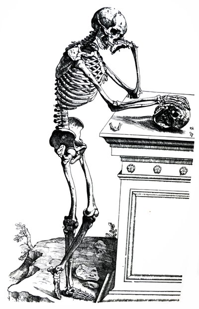 Las placas del séptimo libro de De Humani Corporis Fabrica de Andreas Vesalius