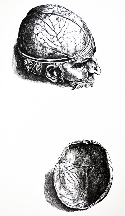 Las Placas del Séptimo Libro de De Humani Corporis Fabrica de Andreas Vesalius