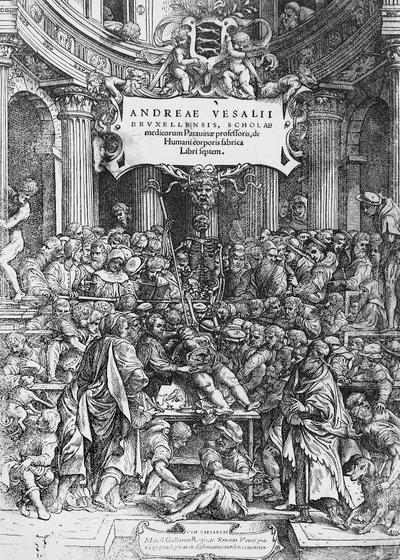Página de título de De humani corporis fabrica (Latín para Sobre la estructura del cuerpo humano), donde Andreas Vesalius está representado diseccionando un cadáver de Andreas Vesalius