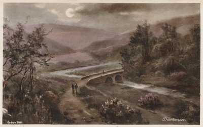 Dartmoor: Dartmeet (foto en color) de Andrew Beer