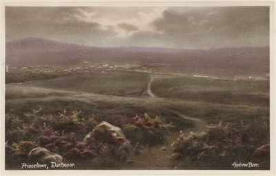 Princetown, Dartmoor (foto en color) de Andrew Beer