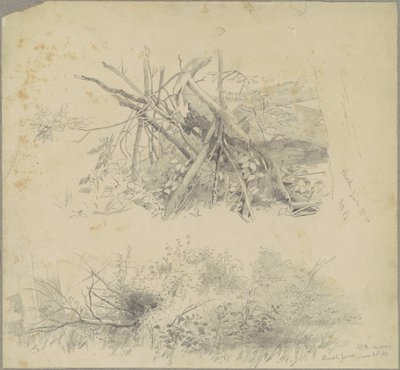 Cepillo; y Valla de Cepillo Hudson de Andrew Fisher Bunner
