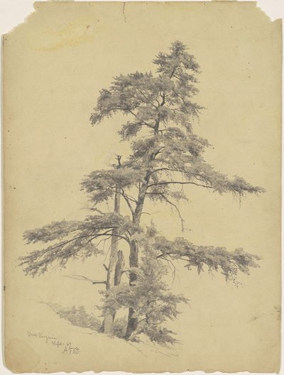 Árboles, Virginia Occidental de Andrew Fisher Bunner