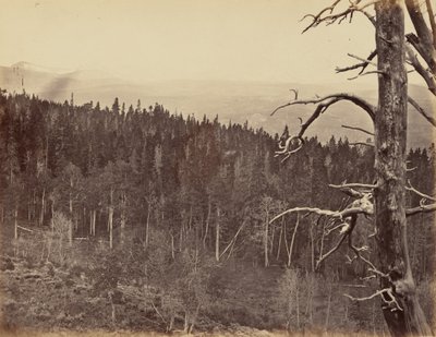 Lámina 13. Snow and Timber Line, Laramie Mountains,1869 (foto) de Andrew Joseph Russell