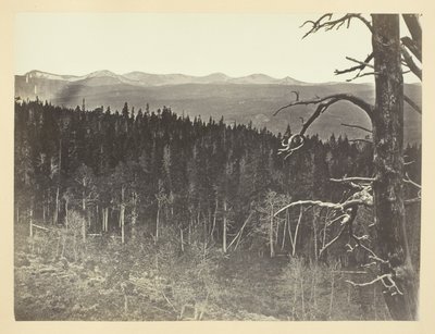 Línea de nieve y madera, Medicine Bow Mountain de Andrew Joseph Russell