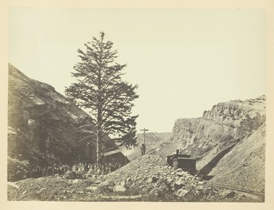 Árbol de las Mil Millas, Paso de Wilhelmina de Andrew Joseph Russell
