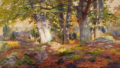 Autumn Sunlight after Rain, Fontainebleau (acuarela y acuarela sobre papel) de Andrew MacCallum