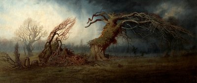 El árbol arrasado de Andrew MacCallum