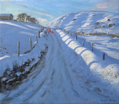 Paloma, 2011 (óleo sobre lienzo) de Andrew Macara