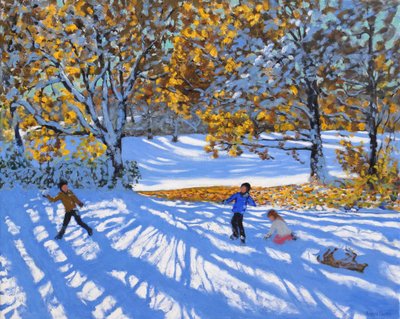 Nieve temprana, Parque Allestree, 2017 de Andrew Macara
