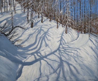 Sombras de Árboles de Abeto, Tignes, 2009 de Andrew Macara