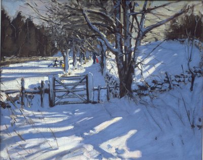Puerta cerca de Youlgreave, Derbyshire de Andrew Macara
