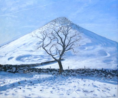 Colina y árbol, Derbyshire, 2008 de Andrew Macara