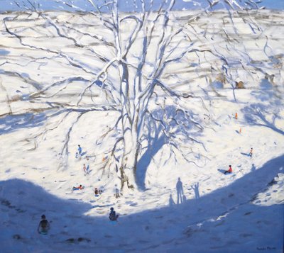 Ladera, Elton cerca de Rowsley, 2008 de Andrew Macara