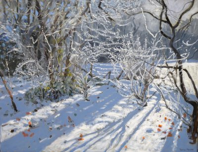 Escarcha, 2011 de Andrew Macara