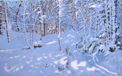 Nieve de noviembre, Bosques de Allestree, Derby de Andrew Macara