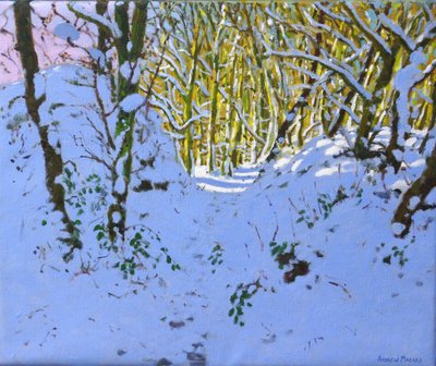 Camino por el bosque en invierno, Derbyshire de Andrew Macara
