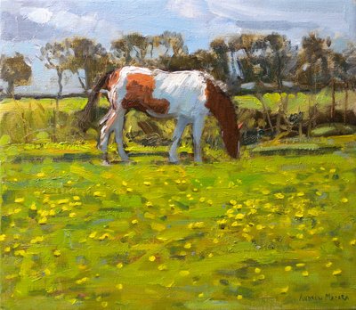 Piebald Horse, 2010 (óleo sobre lienzo) de Andrew Macara