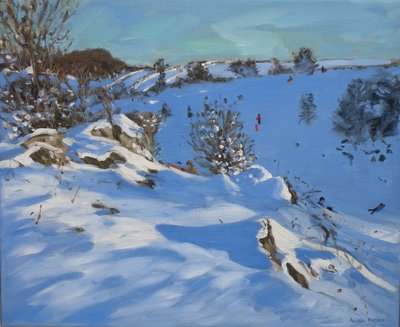 Trineos, Derbyshire, 2011 de Andrew Macara
