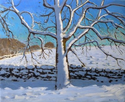 Árbol cubierto de nieve, 2011 (óleo sobre lienzo) de Andrew Macara