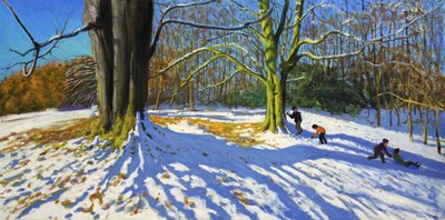Top of Allestree Park, 2014 (óleo sobre lienzo) de Andrew Macara
