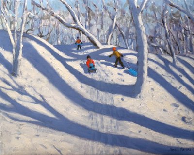Invierno, Bramcote, Nottingham de Andrew Macara