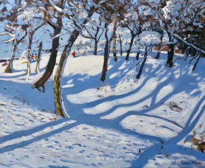 Invierno en Ladmanlow, Buxton, Derbyshire, 2010 de Andrew Macara
