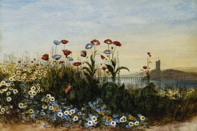 Castillo de Ferry Carrig, Co. Wexford, visto a través de un banco de flores silvestres de Andrew Nicholl