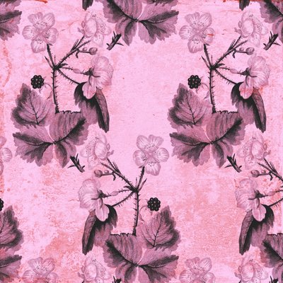 Floral de mora, 2017 de Andrew Watson