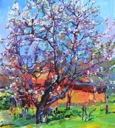  de Andrii Kutsachenko
