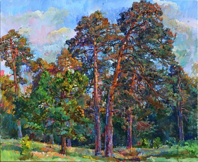 Pinos iluminados por el sol de Andrii Kutsachenko