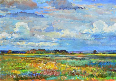 Cielo resplandeciente sobre los campos de Andrii Kutsachenko